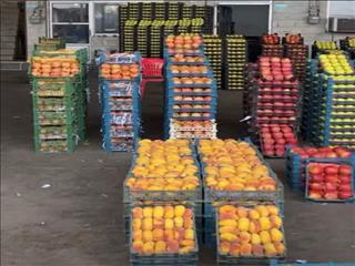 میدان بارها مراکز اصلی جمع‌آوری و توزیع میوه در استان مازندران