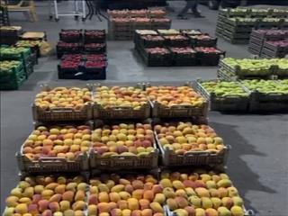 بازارهای عمده ‌فروشی میوه در استان مازندران