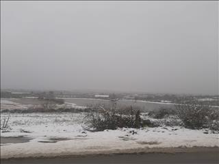 بارش برف در نخستین روز بهمن ماه در قائمشهر