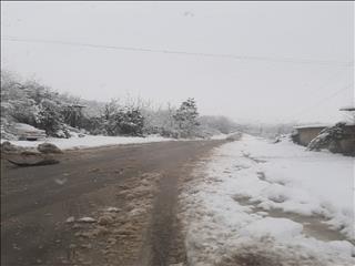 بارش برف در نخستین روز بهمن ماه در مناطق روستایی قائمشهر