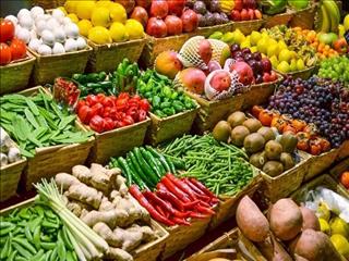 ضرورت دریافت گواهی بهداشت و گواهی استاندارد برای کلیه محصولات باغی و کشاورزی در ایران